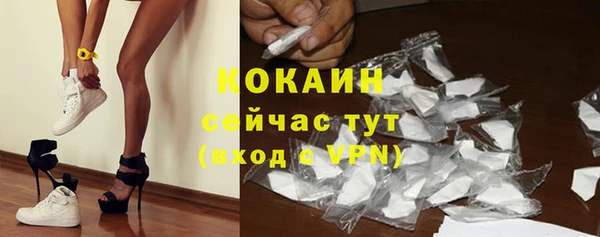 сатива Армянск
