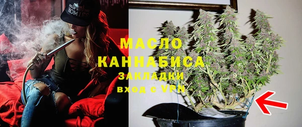 сатива Армянск
