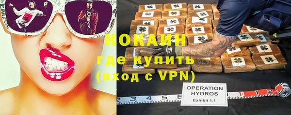 сатива Армянск