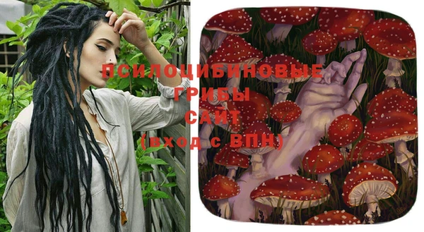 твердый Арсеньев